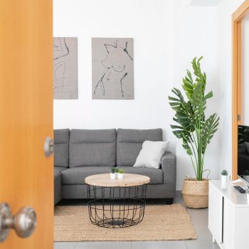 1f981a95-11ed-478e-8e8d-4e52ed95e9ee