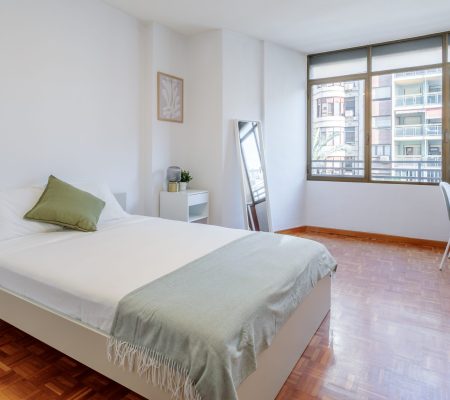 PISO1D-4